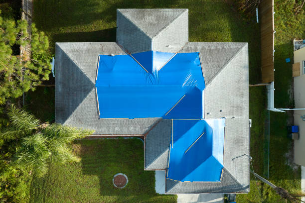 Best Roof Maintenance and Cleaning  in Carolina Forest, SC
